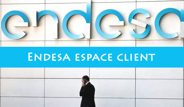 service client Endesa France